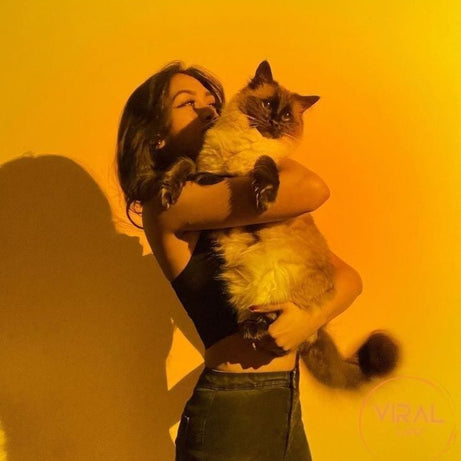 Sunset Lamp Multi Color With Remote - DiscountsHub